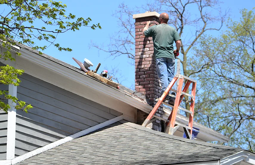Chimney & Fireplace Inspections Services in Burleson, TX